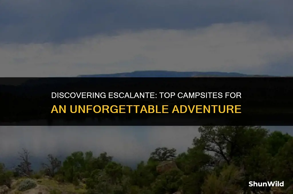 where to camp in escalante