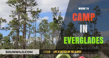 Exploring the Everglades: Top Campsites for an Unforgettable Adventure