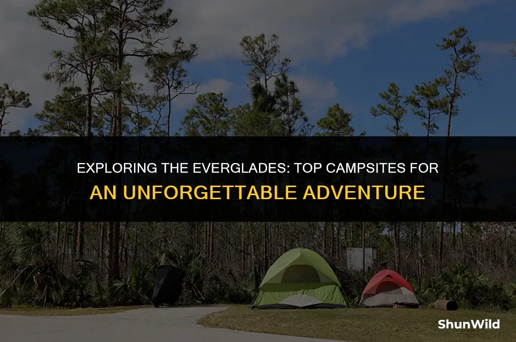 where to camp in everglades