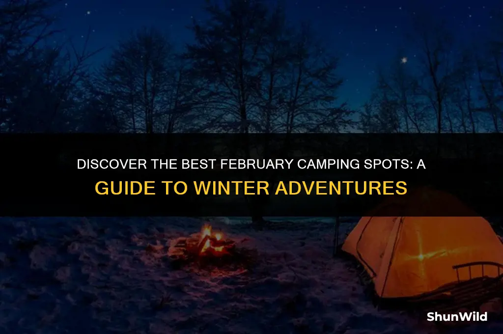 where to camp in february
