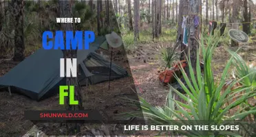 Discover the Best Campsites in Florida: A Guide to Outdoor Adventures