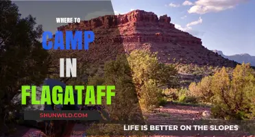 Discover the Best Campsites in Flagstaff: A Guide to Outdoor Bliss