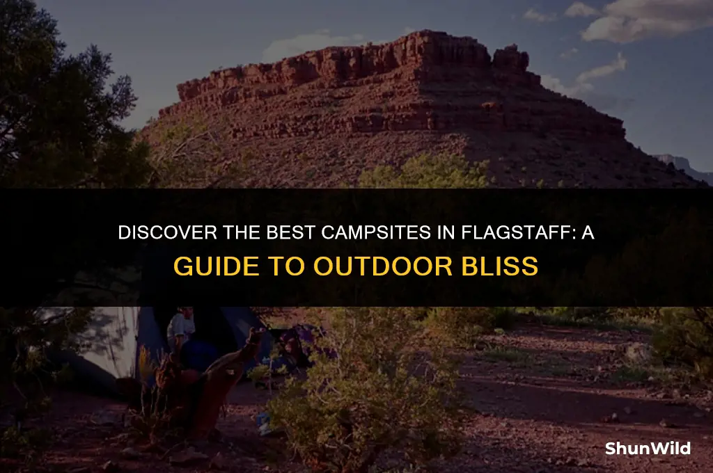 where to camp in flagataff