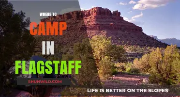 Discover Flagstaff's Best Camping Spots: A Guide to Outdoor Adventures