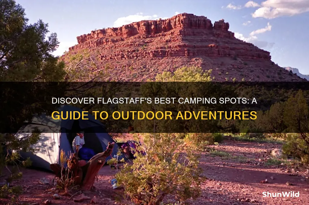 where to camp in flagstaff