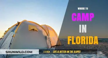 Discover Florida's Best Camping Spots: Nature, Beaches, and Adventure Await