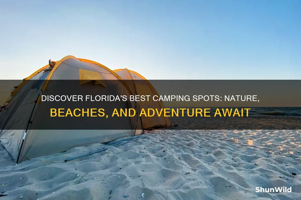 where to camp in florida