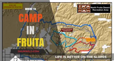 Discover Fruita's Best Campsites: A Guide to Outdoor Bliss