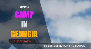 Discover Georgia's Best Camping Spots: Nature, Adventure, and Serenity Await