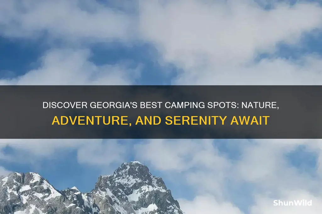 where to camp in georgia