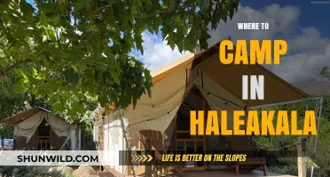 Haleakala Camping Guide: Top Spots for an Unforgettable Maui Adventure