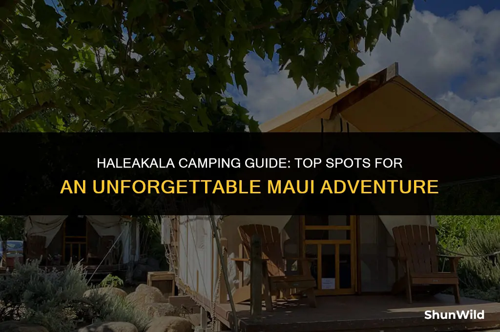 where to camp in haleakala