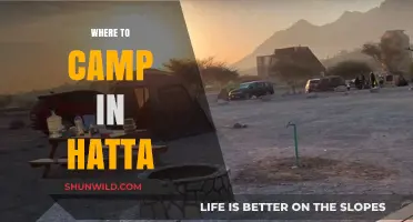 Discover Hatta's Hidden Gems: Top Campsites for an Unforgettable Adventure