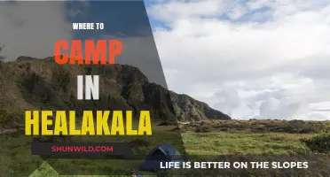 Discover the Best Campsites in Haleakalā: A Guide to Your Next Adventure
