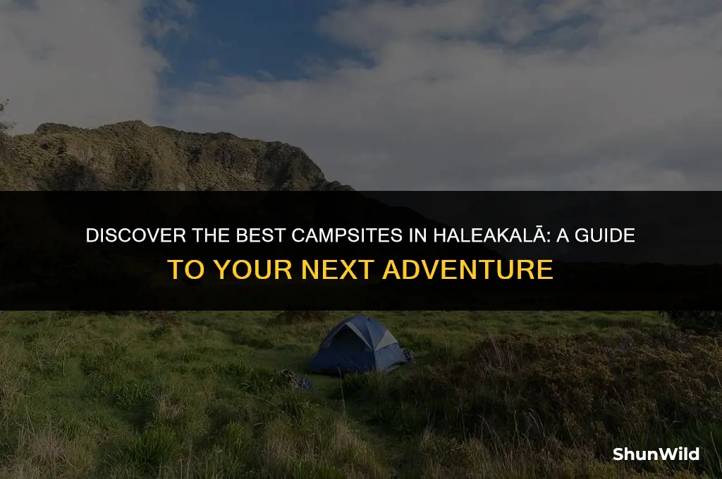 where to camp in healakala