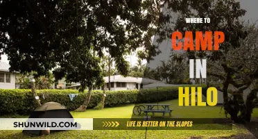Discover Hilo's Hidden Gems: Top Campsites for Your Next Adventure