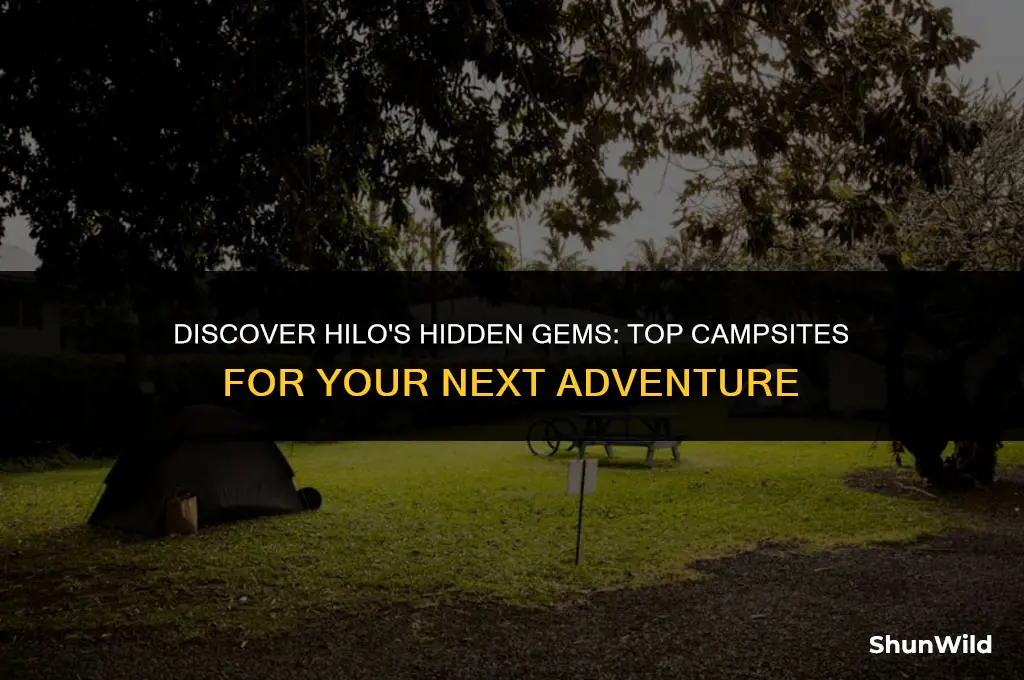 where to camp in hilo