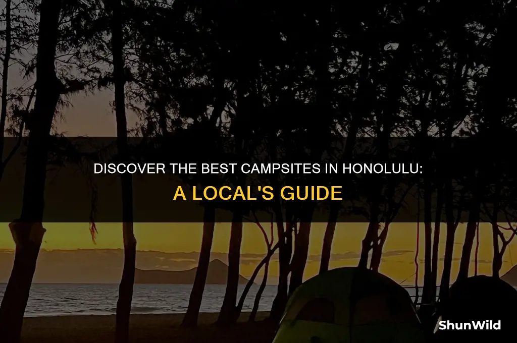 where to camp in honolulu