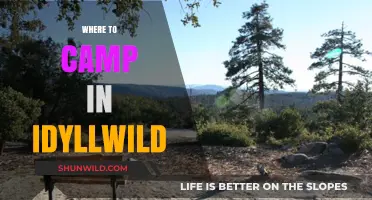 Discovering Idyllic Camping Spots in Idyllwild: A Nature Lover's Guide