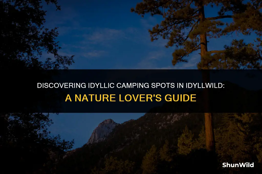 where to camp in idyllwild