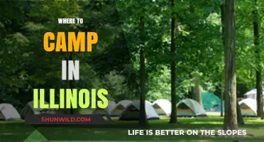 Discover Illinois' Best Kept Camping Secrets: A Guide to Unforgettable Sites