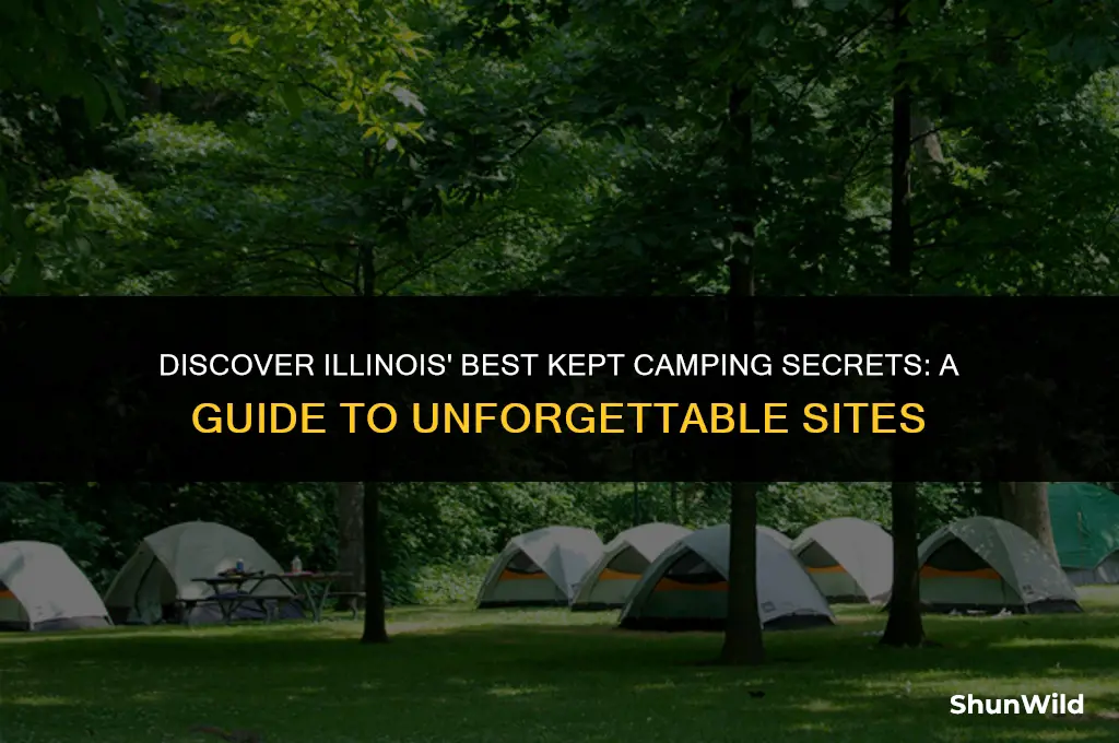 where to camp in illinois