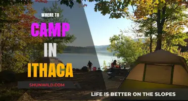 Discover Ithaca's Hidden Gems: Top Campsites for Your Next Adventure