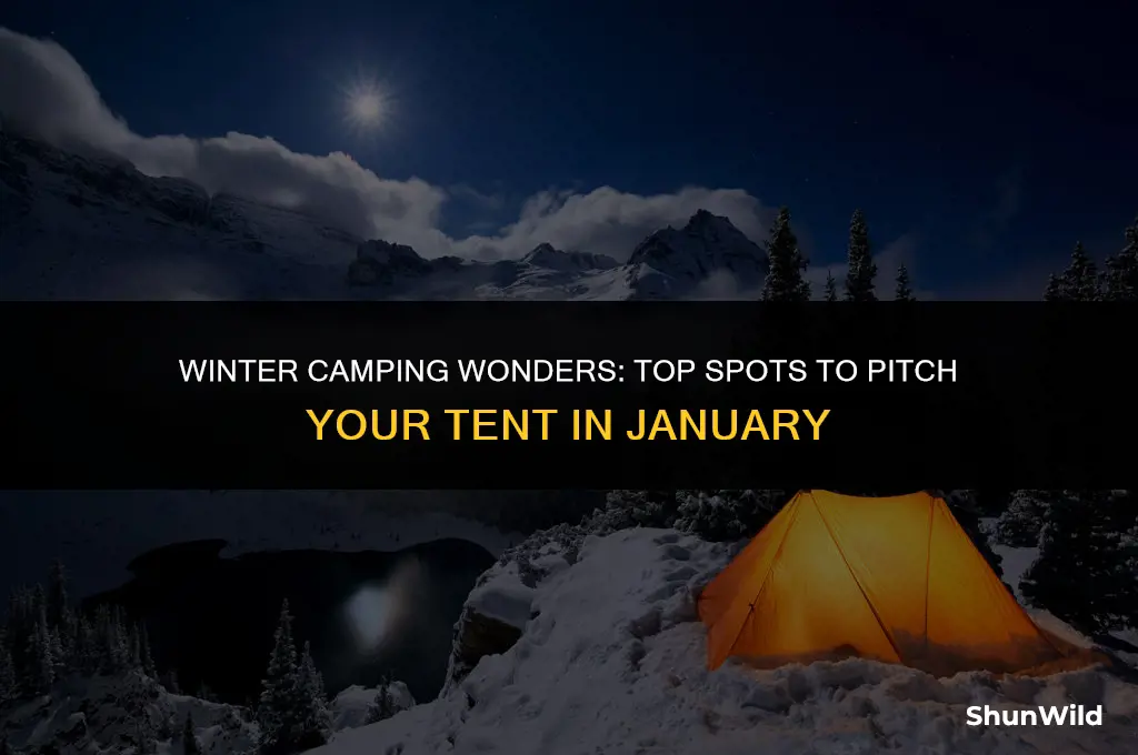 where to camp in january