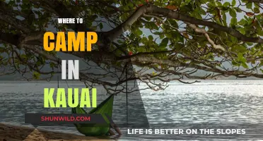 Discover Kauai's Hidden Gems: The Ultimate Guide to Camping Spots