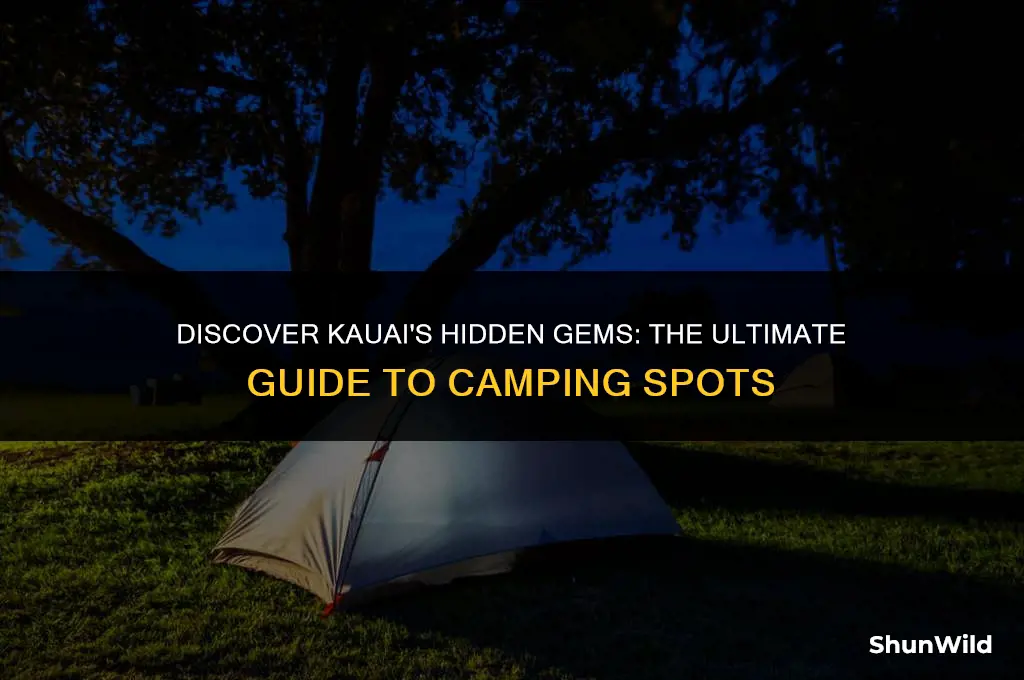 where to camp in kauai