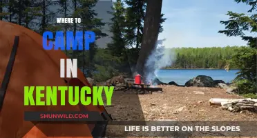 Discover Kentucky's Best Kept Camping Secrets: A Guide to Unforgettable Sites