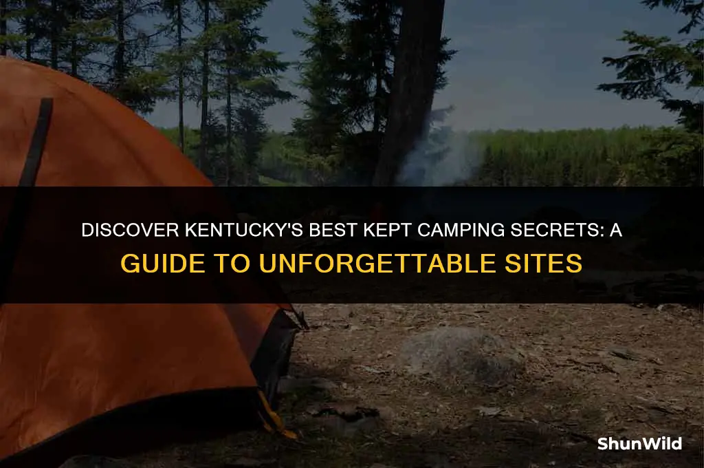 where to camp in kentucky