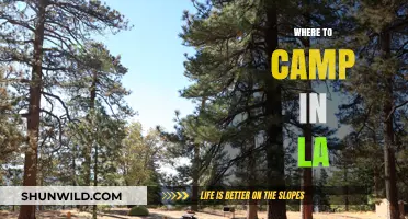 Discover the Best Campsites Near LA: A Guide to Outdoor Adventures