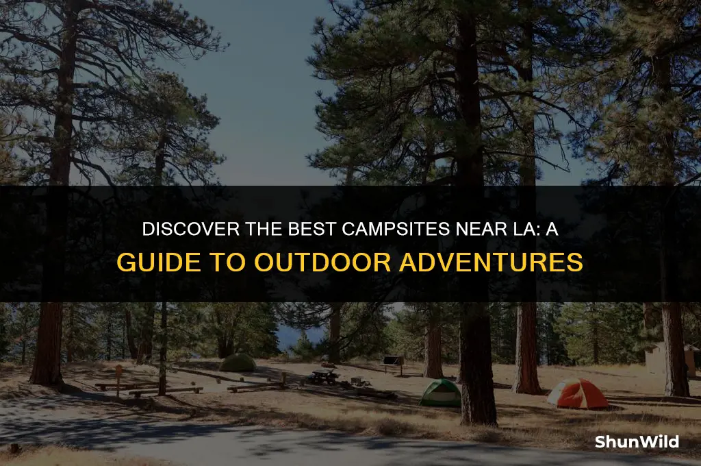 where to camp in la