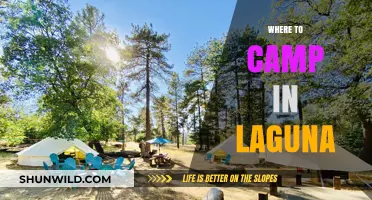 Discover Serenity: Top Laguna Camping Spots for Nature Lovers