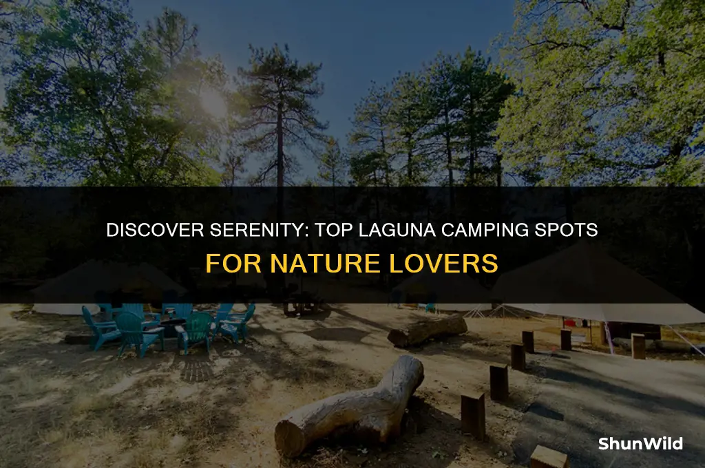 where to camp in laguna