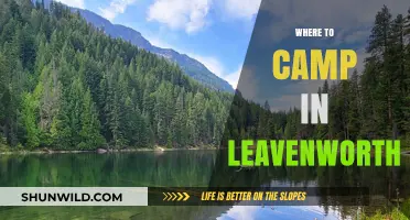 Discover the Best Campsites in Leavenworth: A Nature Lover's Guide
