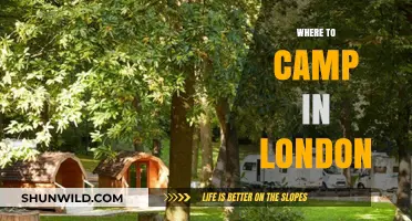 Discover London's Hidden Gems: Unique Camping Spots in the City