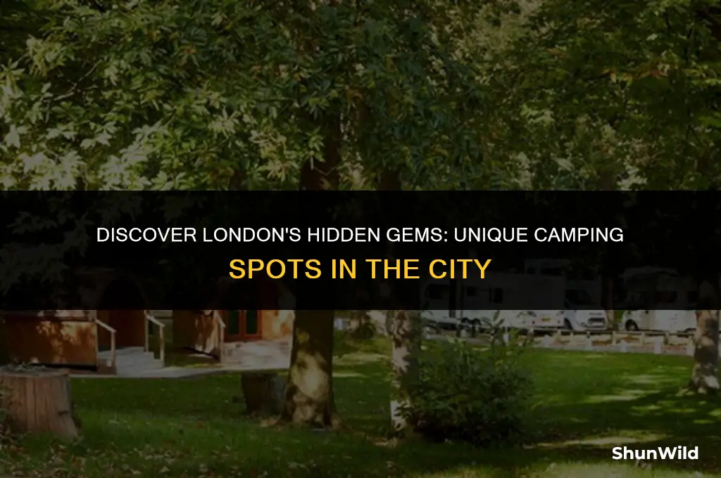 where to camp in london