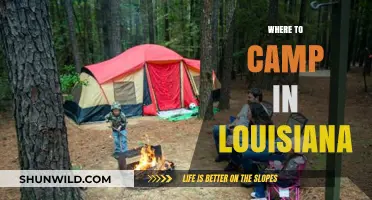 Discover Louisiana's Best Kept Camping Secrets: A Guide to Unforgettable Sites