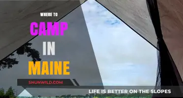 Maine's Best Campsites: Top Spots for Outdoor Adventures and Relaxation