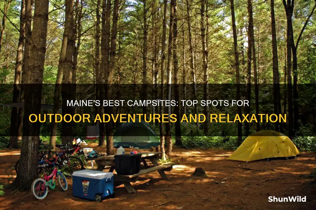 where to camp in maine
