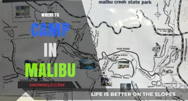Discovering Malibu's Hidden Gems: A Guide to the Best Campsites