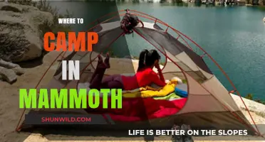 Discover the Best Campsites in Mammoth: A Guide to Outdoor Bliss