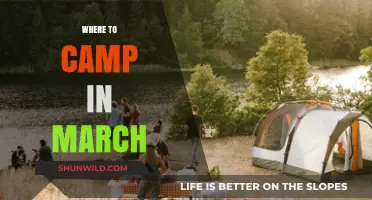 Spring Awakening: Top Camping Spots for March Adventures