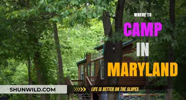 Discover Maryland's Best Campsites: A Guide to Outdoor Adventures