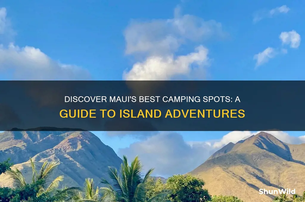 where to camp in maui