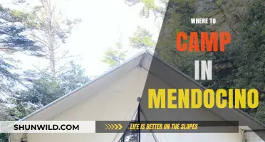 Discover Mendocino's Best Campsites: A Guide to Outdoor Adventures