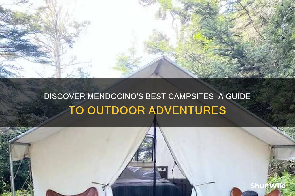 where to camp in mendocino