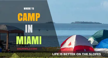 Discover Miami's Hidden Gems: Top Campsites for an Urban Escape